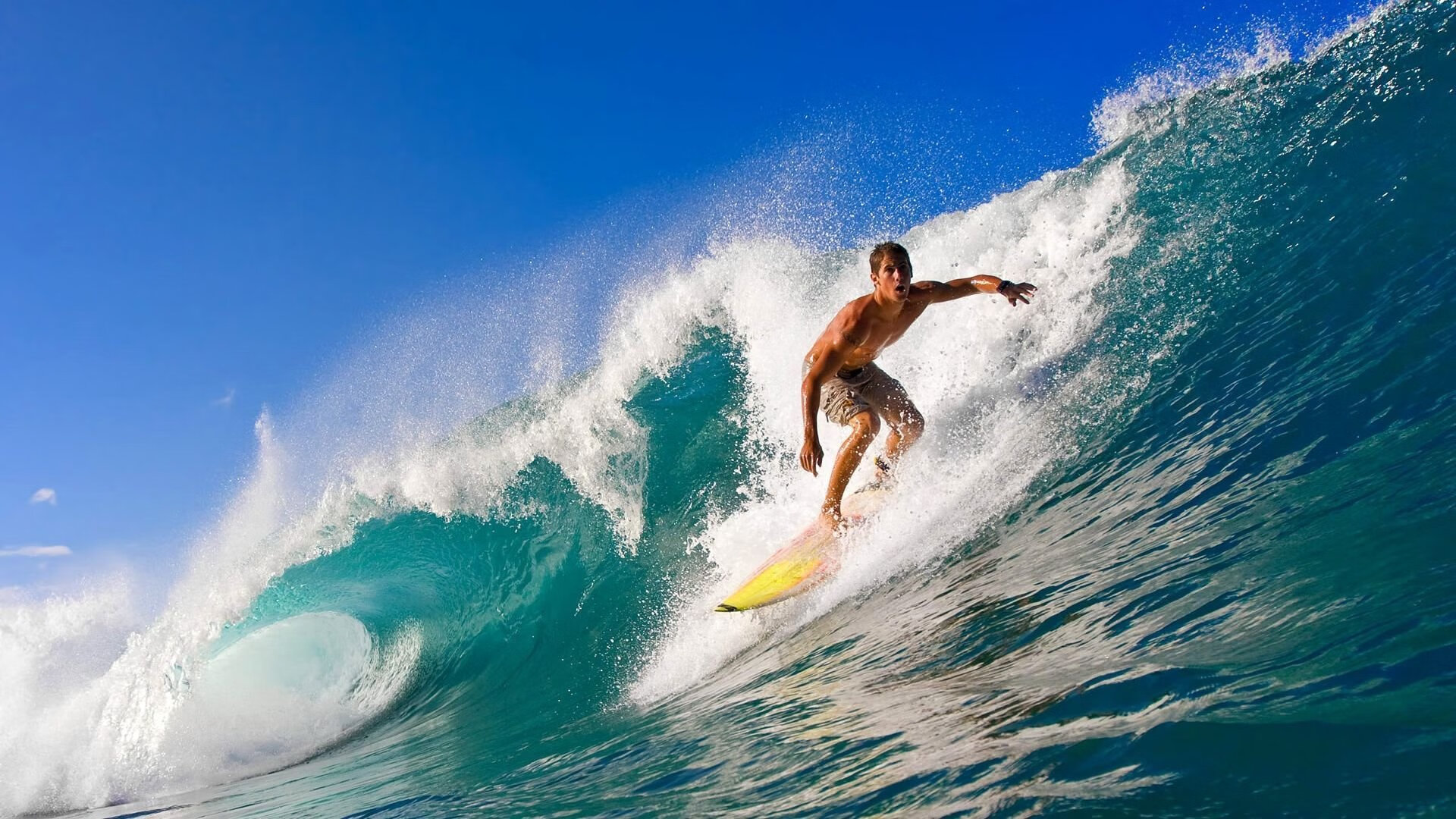 史上最强S16？北美主场加持全球战队集体紧张，北美sq战队